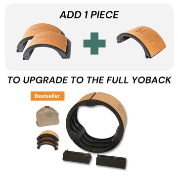 Yoback Upgrade