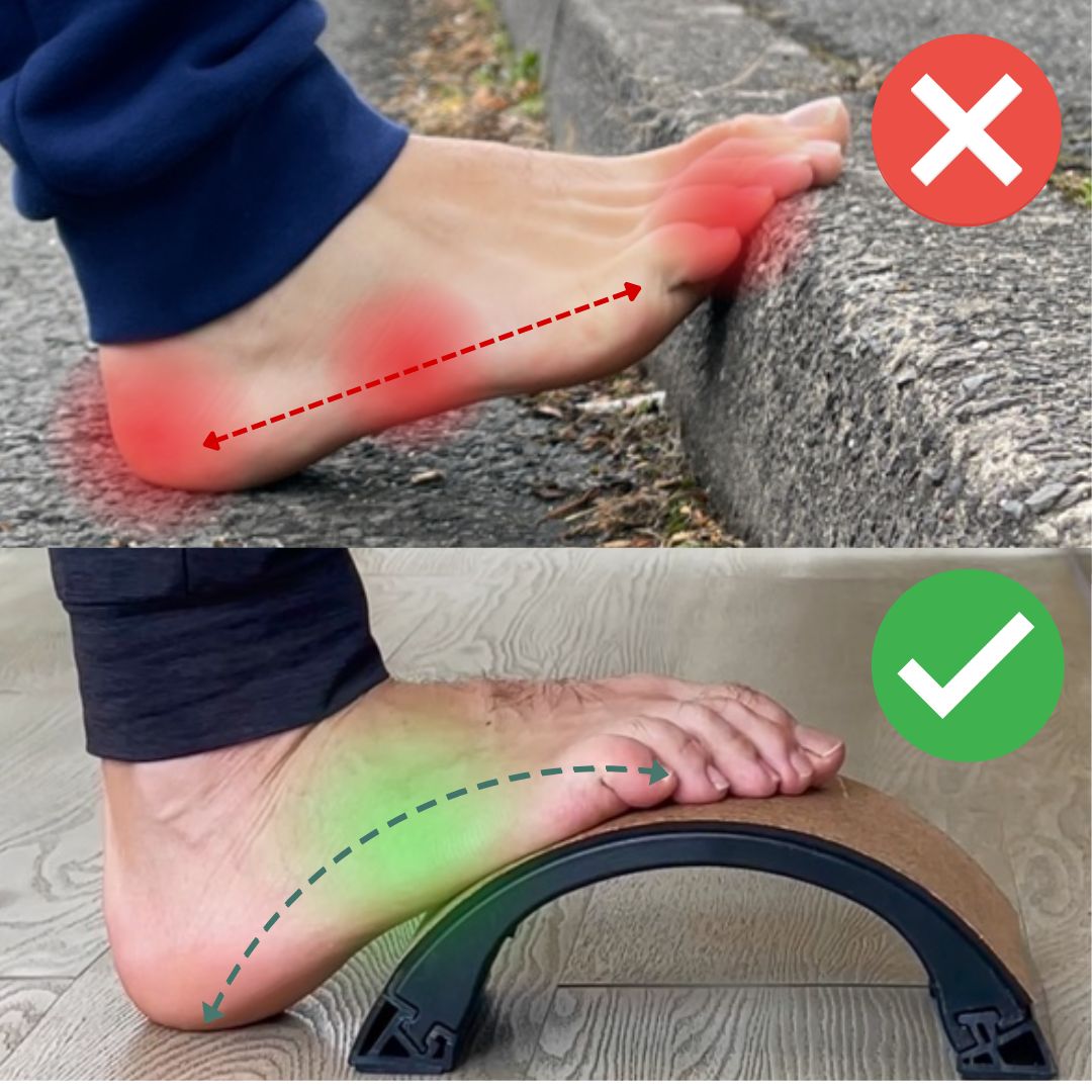 Yoback Lite - Compact Mobility Tool | Eastnole