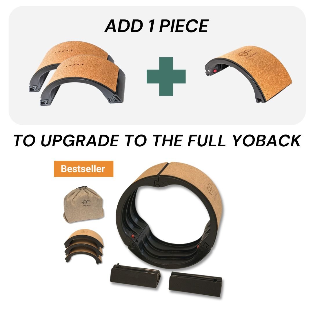 Yoback Upgrade